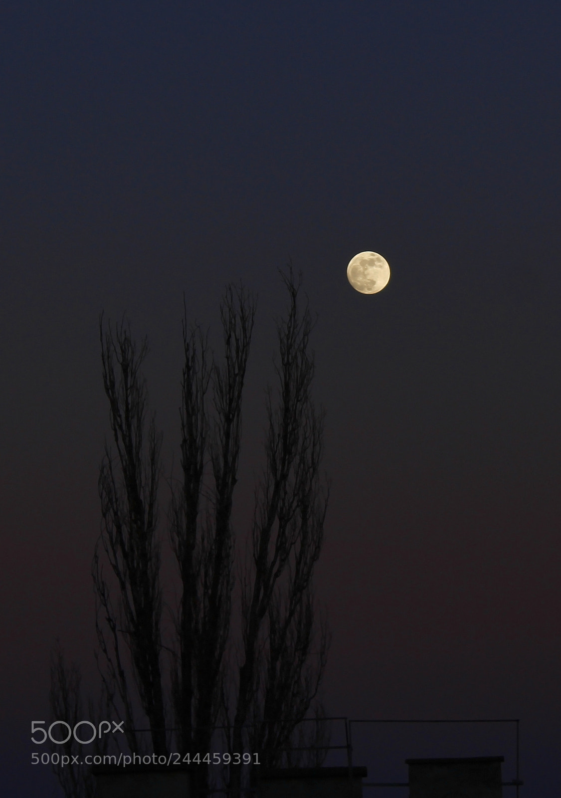 Canon EOS 1200D (EOS Rebel T5 / EOS Kiss X70 / EOS Hi) sample photo. Mo_on photography