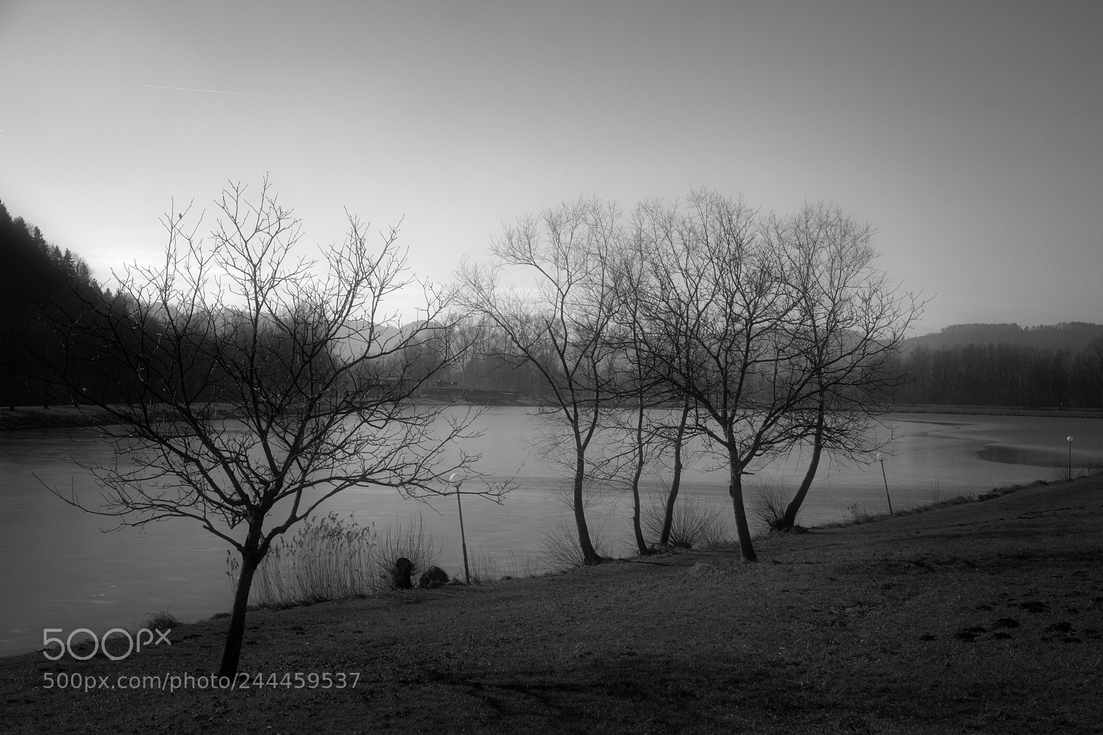 Nikon D7100 sample photo. Cold day photography