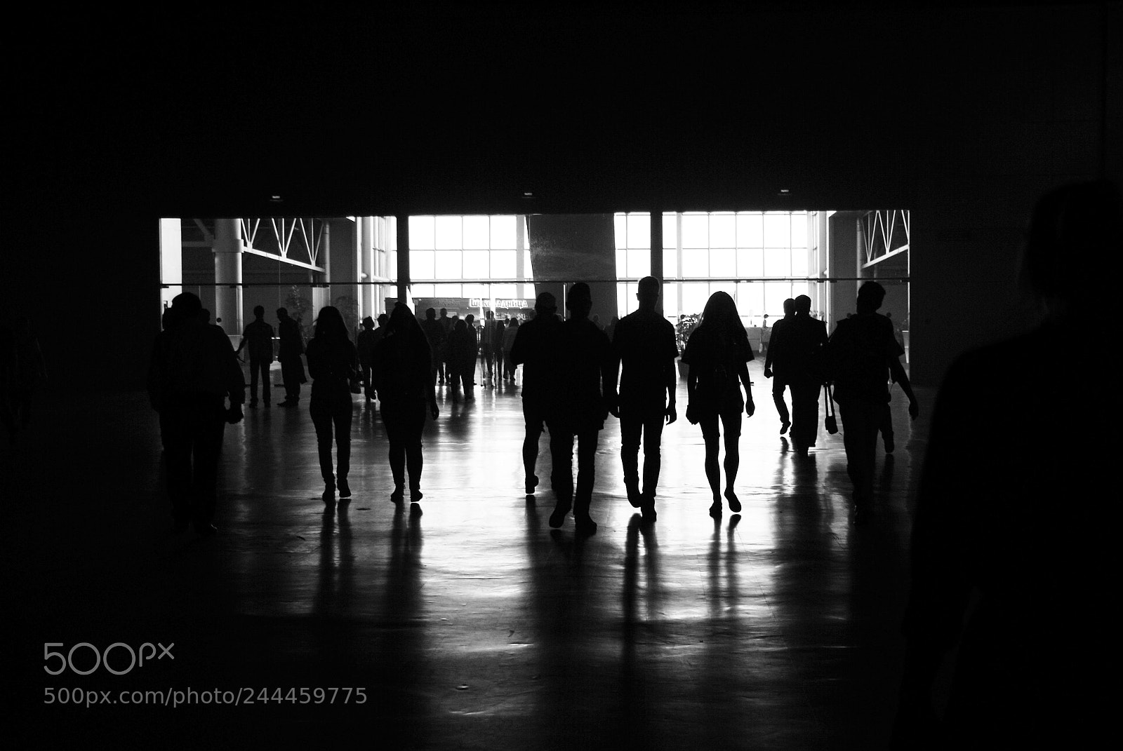 Sony Alpha DSLR-A100 sample photo. In black photography