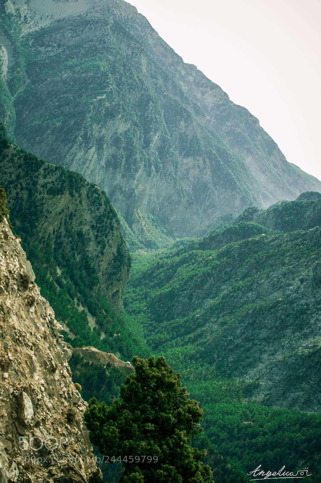 Nikon D5000 sample photo. Samaria national park from photography