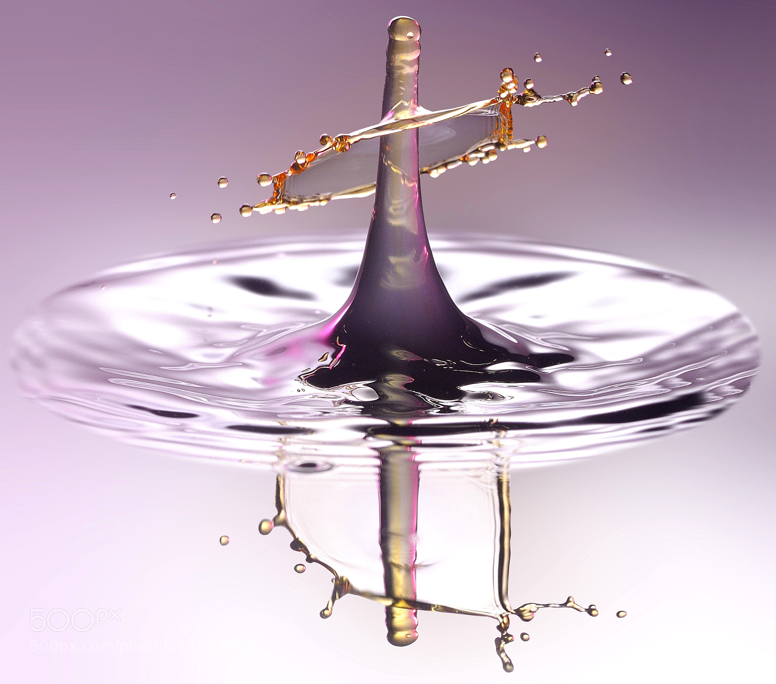 Nikon D90 sample photo. Reflections photography