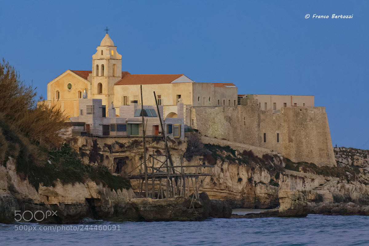 Canon EOS 50D sample photo. Vieste photography