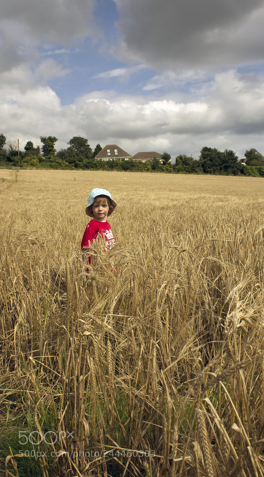 Canon EOS 60D sample photo. Poppy in a field photography