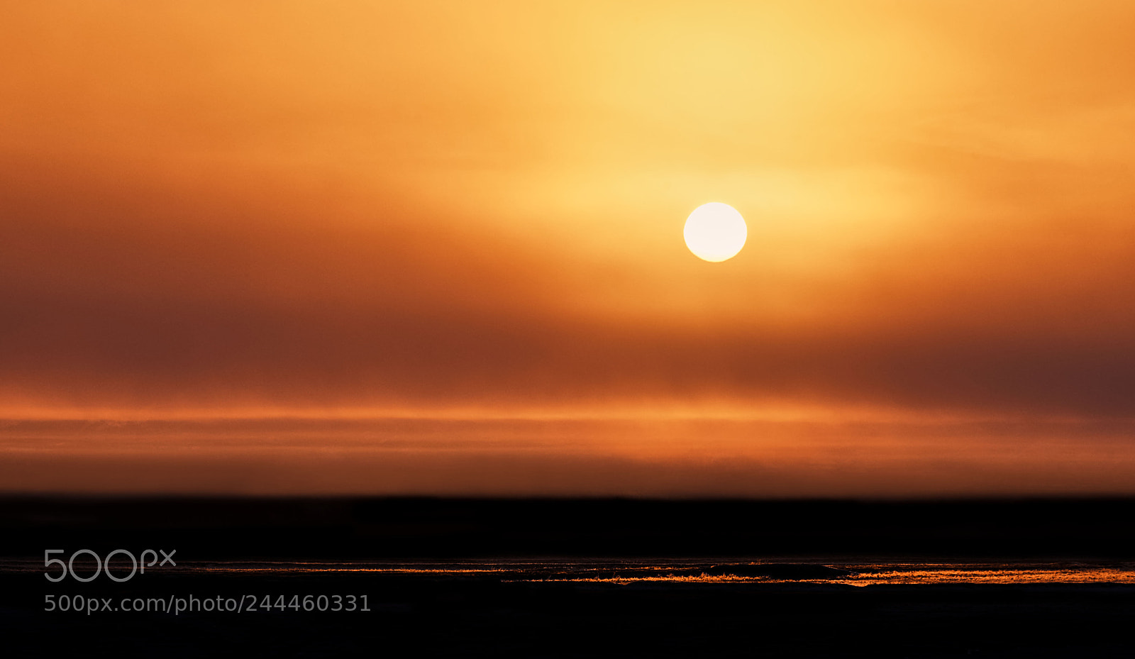 Sony a7R III sample photo. _dsc1476_1_1.jpg photography