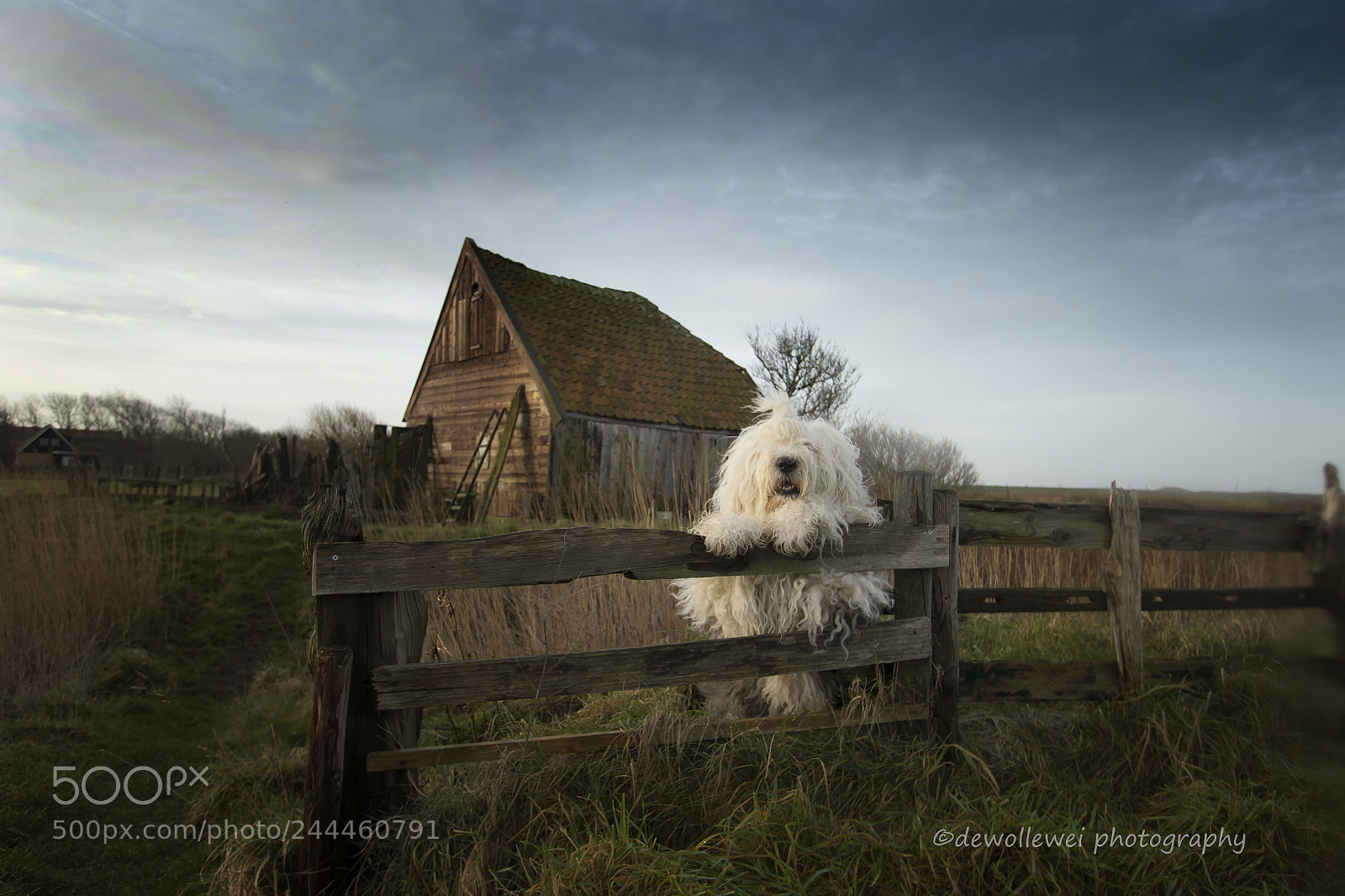 Canon EOS 7D Mark II sample photo. Sophie at the little photography