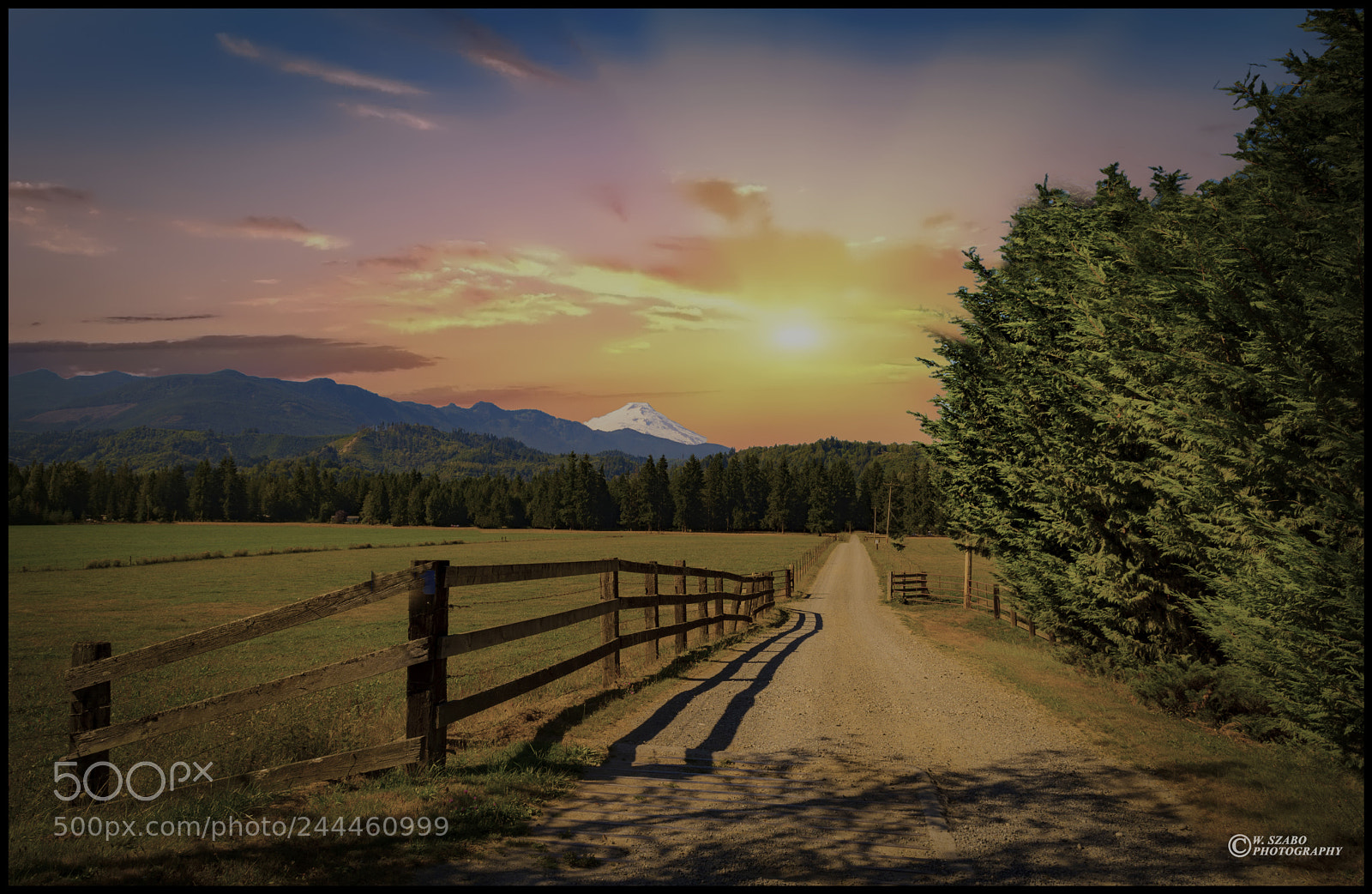 Nikon D7100 sample photo. Peacful farm photography
