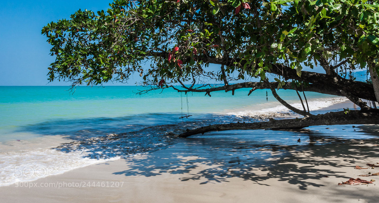 Nikon D7200 sample photo. Whitesandbeach photography