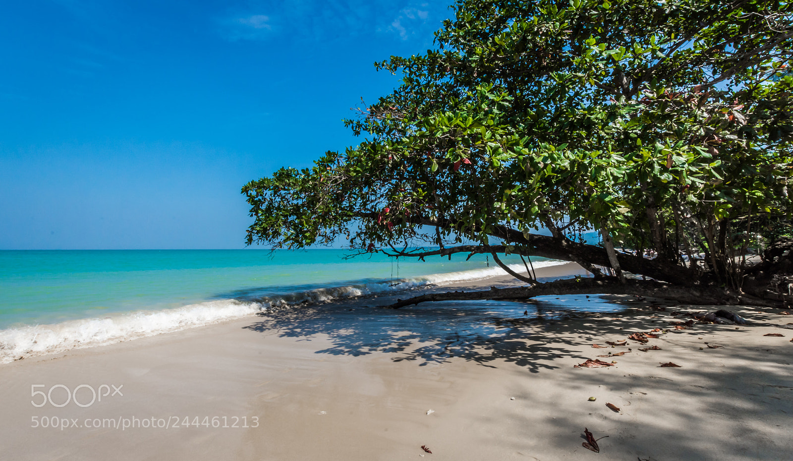 Nikon D7200 sample photo. Whitesandbeach photography