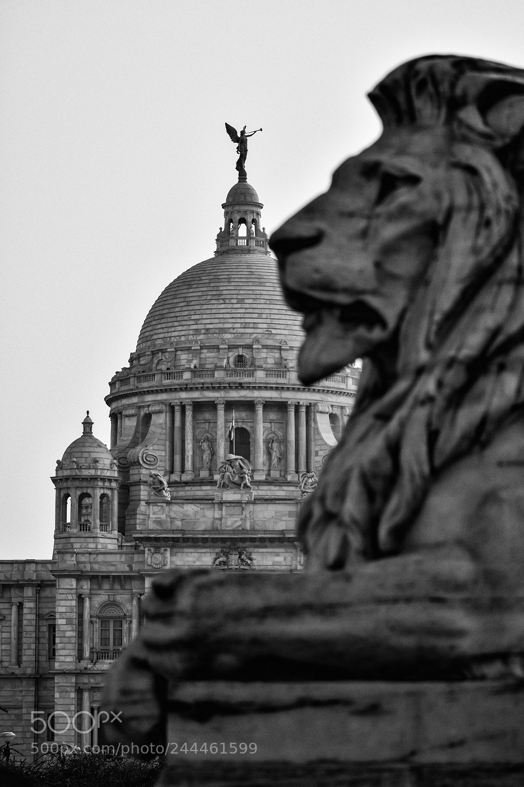Nikon D5500 sample photo. Victoria memorial photography