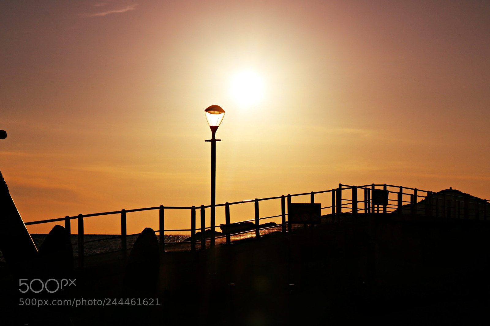 Canon EOS 750D (EOS Rebel T6i / EOS Kiss X8i) sample photo. Sunny evening photography