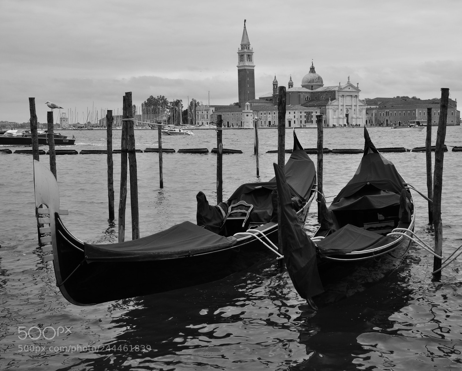 Nikon D90 sample photo. Cofeetime to gondolier photography