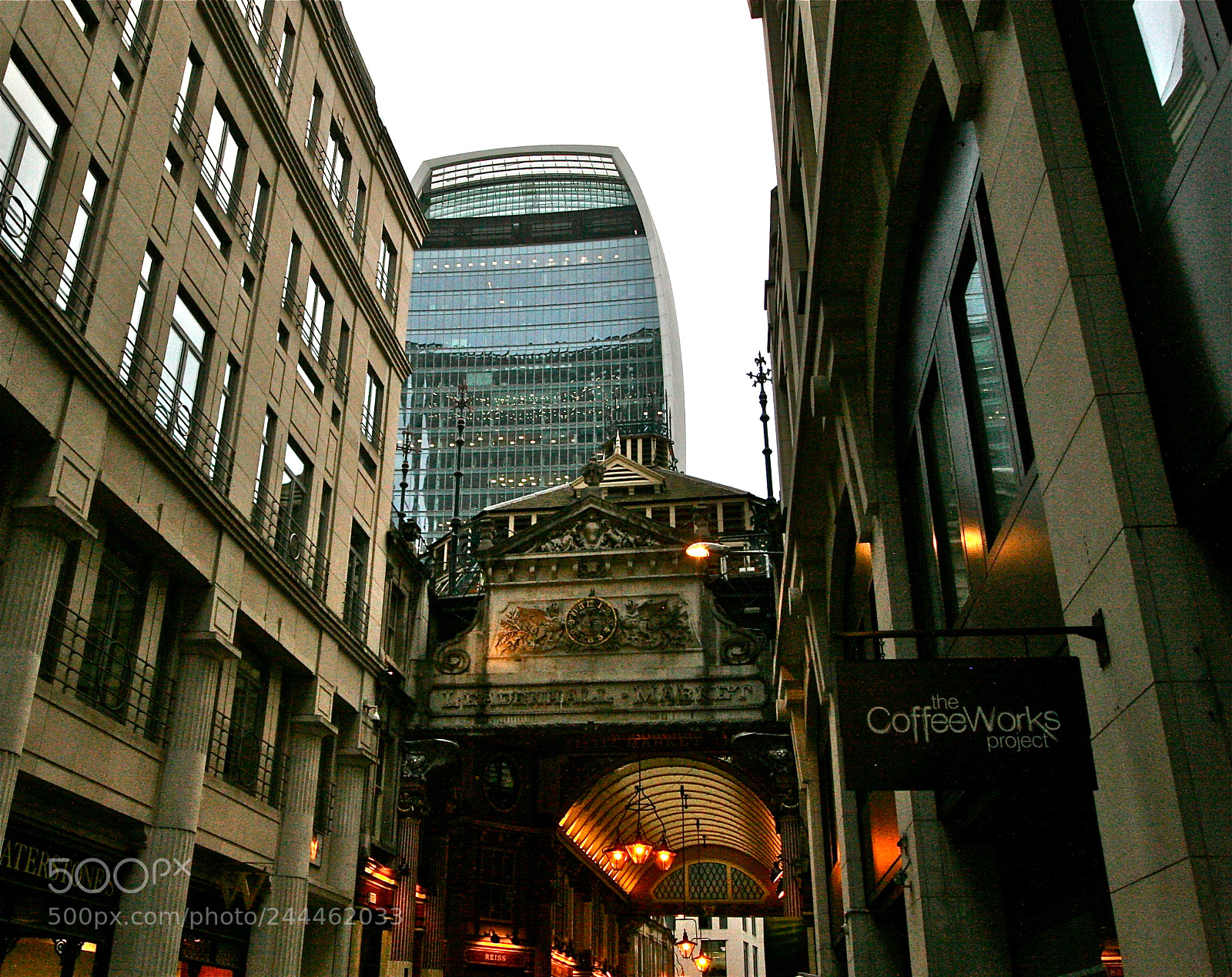 Canon EOS 30D sample photo. Rising above photography