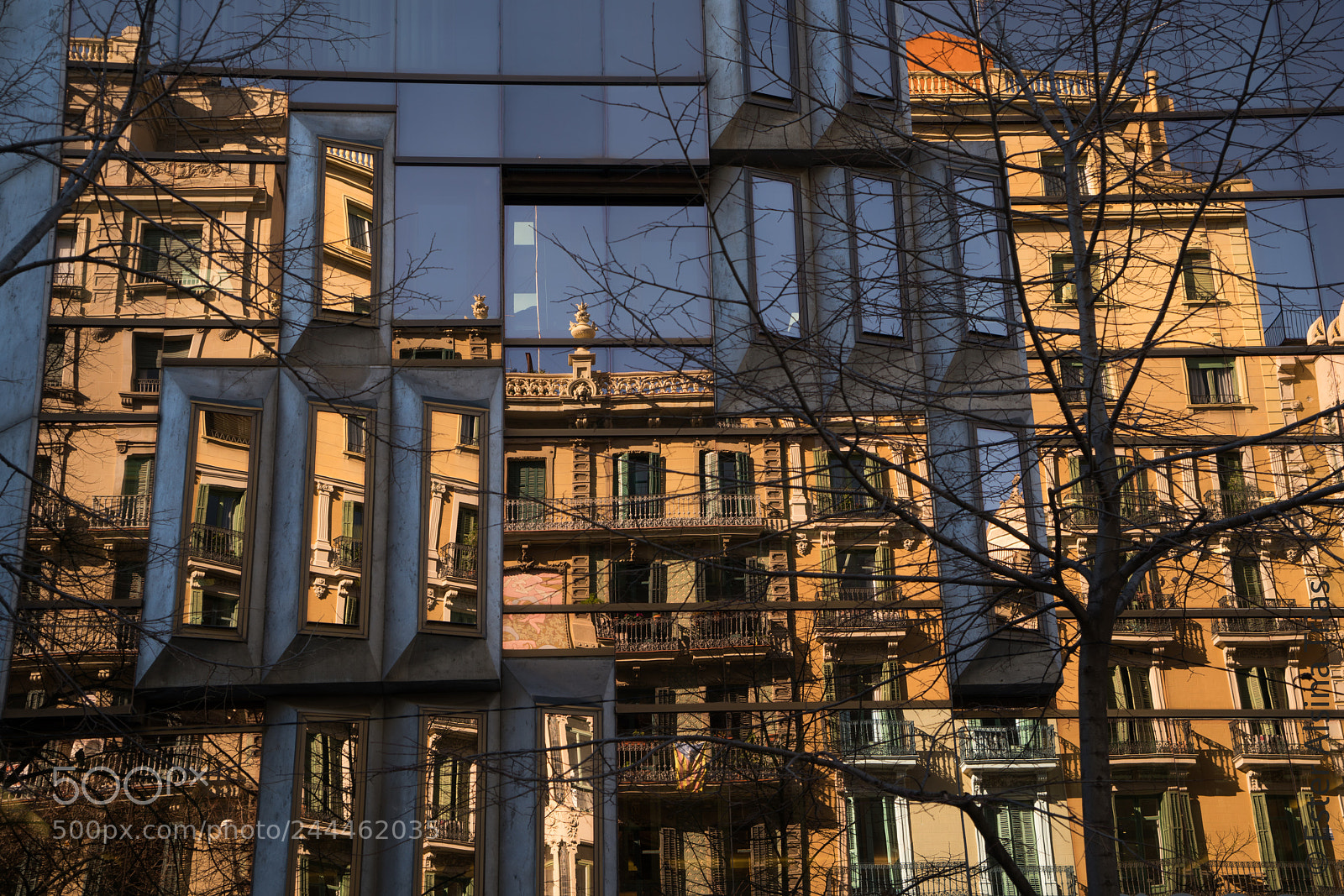 Sony a7R II sample photo. Reflejos photography