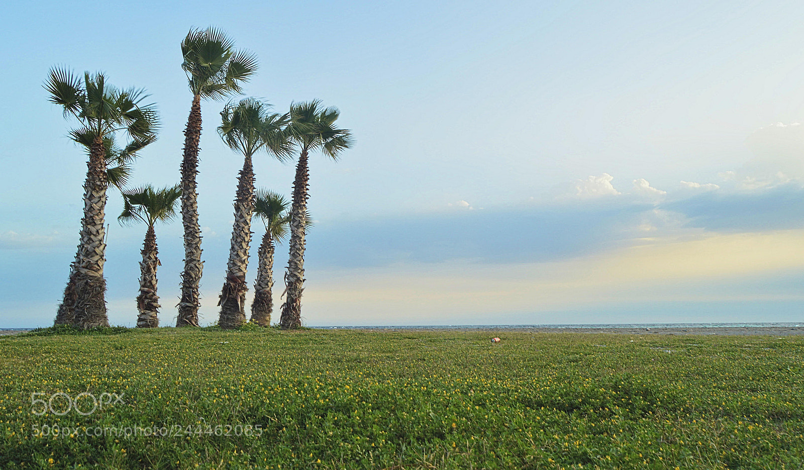 Nikon D3200 sample photo. Island photography