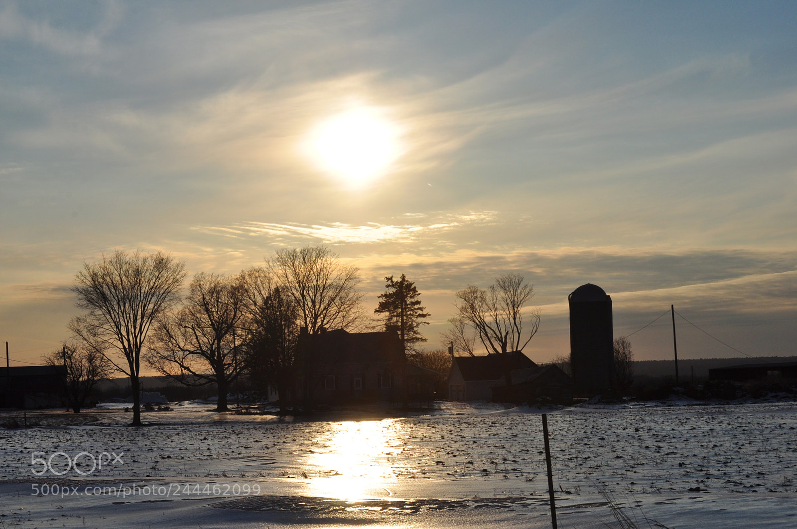 Nikon D5000 sample photo. Winter memories photography