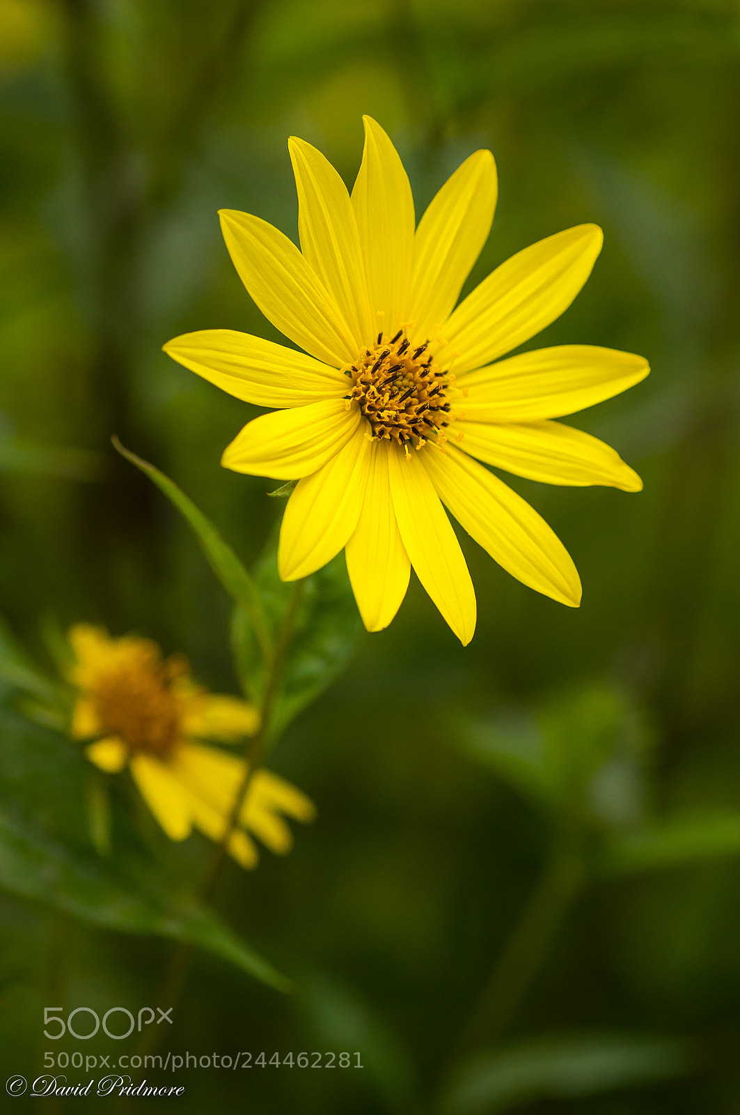 Nikon D90 sample photo. Remember summer ? photography