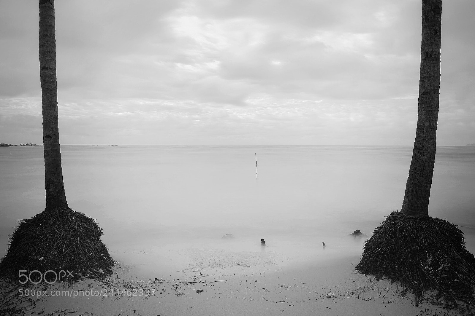 Fujifilm X-E2S sample photo. Untitled photography