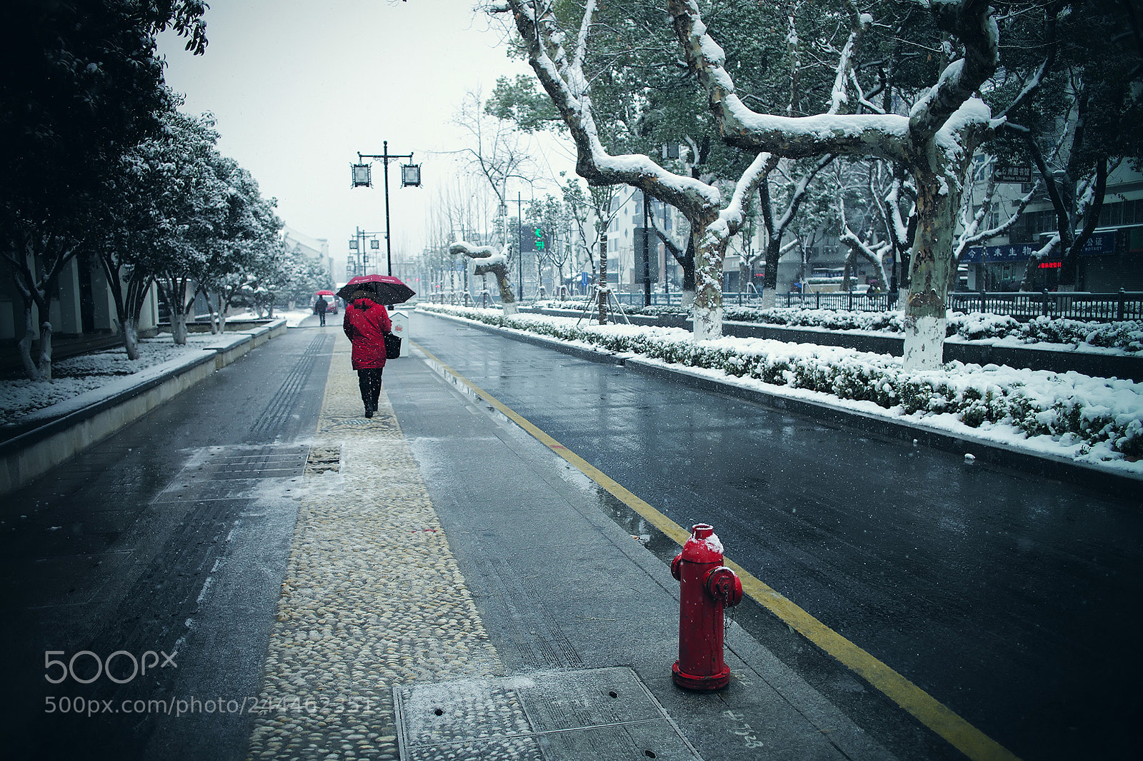 Leica M (Typ 240) sample photo. 「天地一沙鸥」2018 · 雪 ​​​​ photography