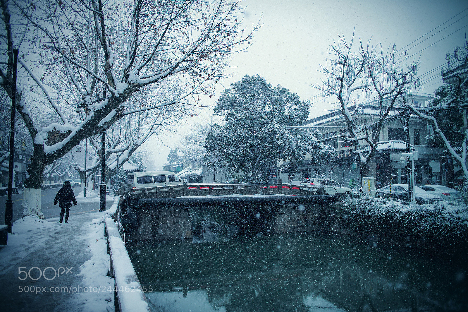 Leica M (Typ 240) sample photo. 「天地一沙鸥」2018 · 雪 ​​​​ photography