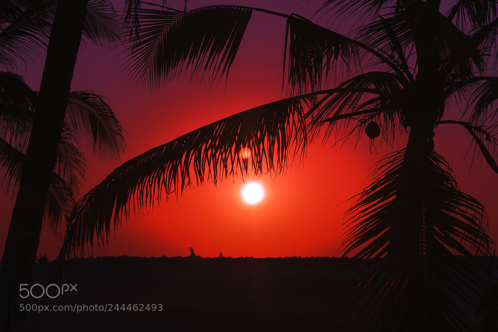 Nikon D3100 sample photo. Sunset photography