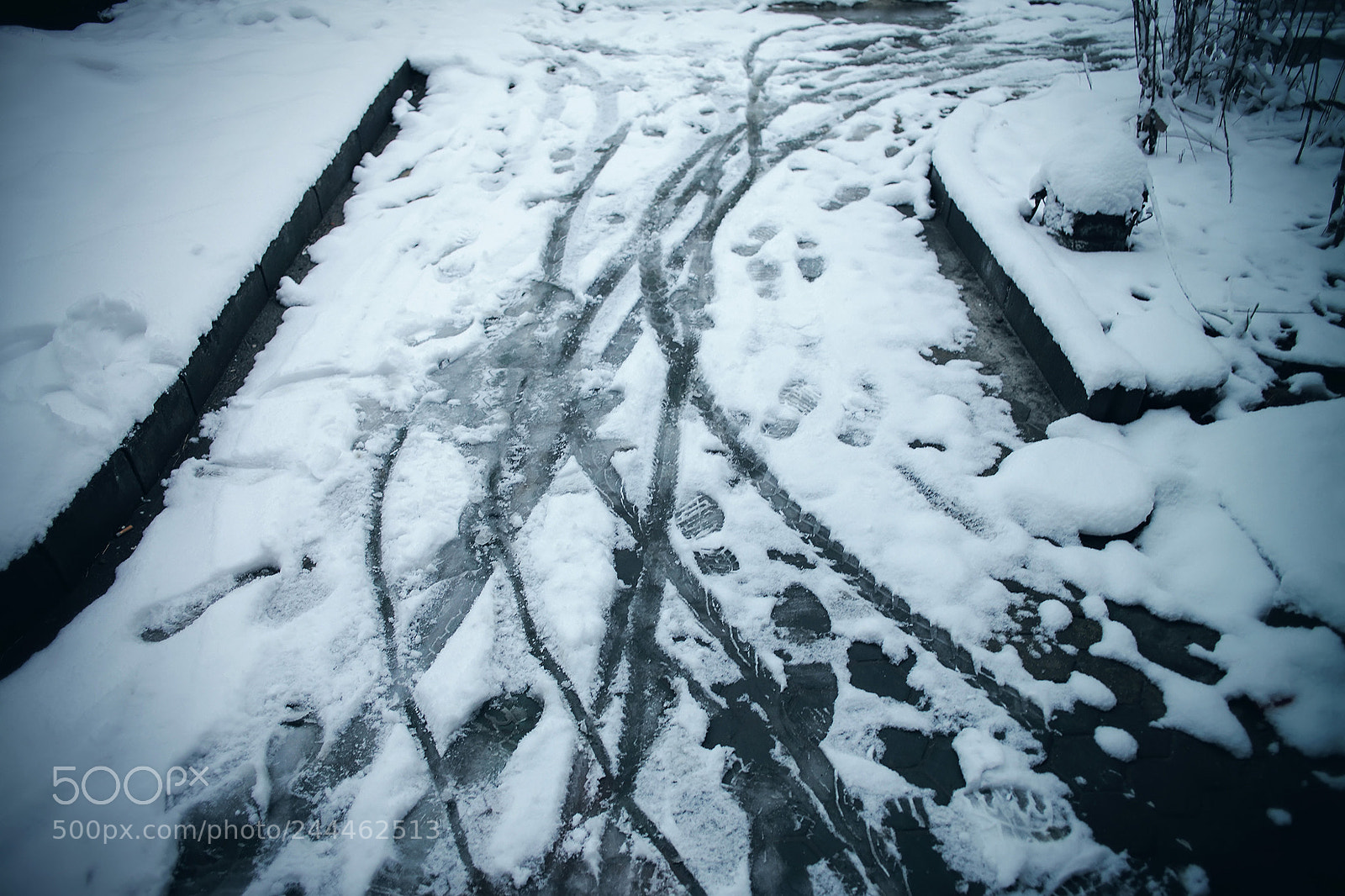 Leica M (Typ 240) sample photo. 「天地一沙鸥」2018 · 雪 ​​​​ photography