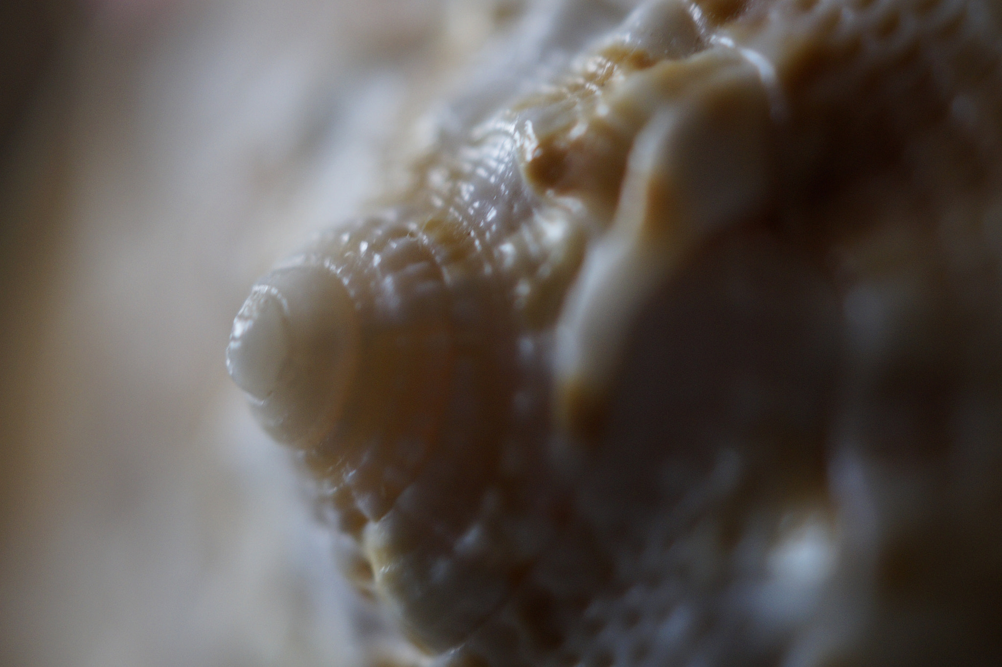 Sony SLT-A58 + Sony DT 30mm F2.8 Macro SAM sample photo