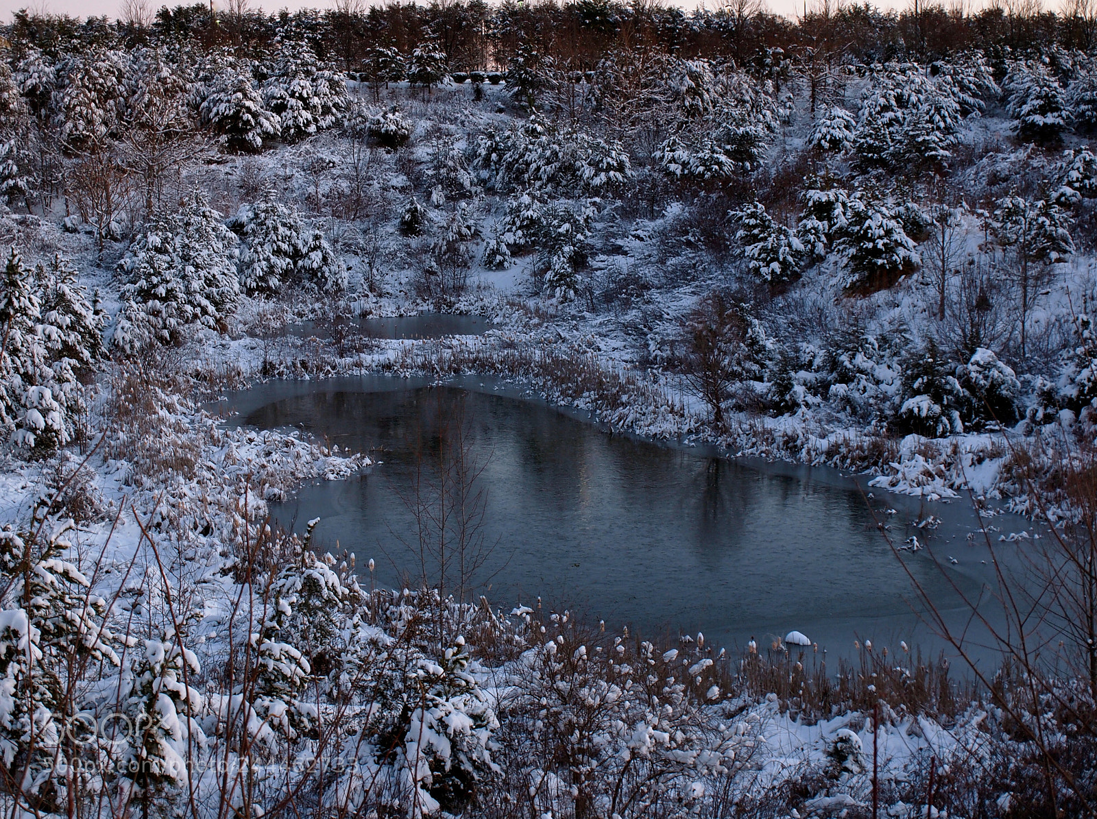 Olympus E-5 sample photo. Pond photography