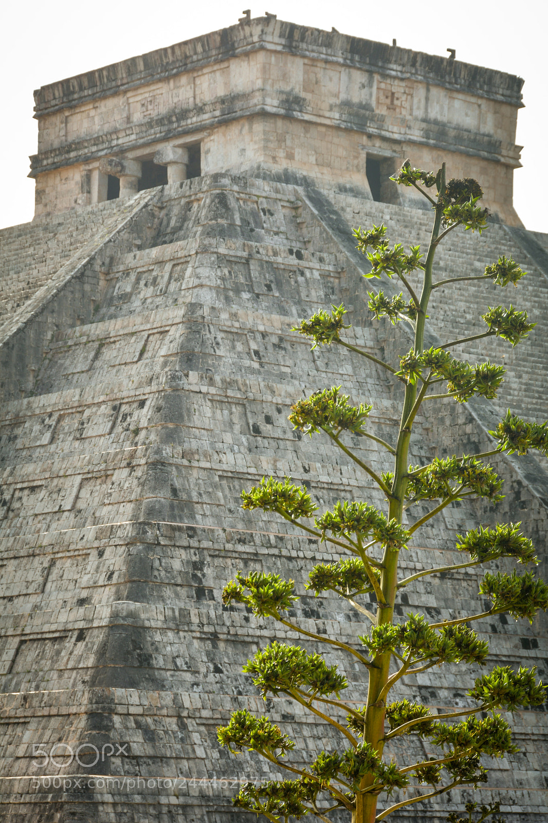 Nikon D7100 sample photo. Chichén itzá photography