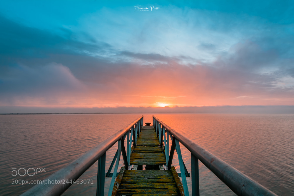 Nikon D7100 sample photo. Pier dream #2 photography