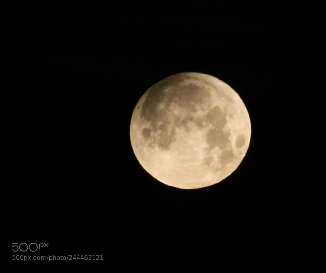 Canon EOS 1300D (EOS Rebel T6 / EOS Kiss X80) sample photo. Super moon photography