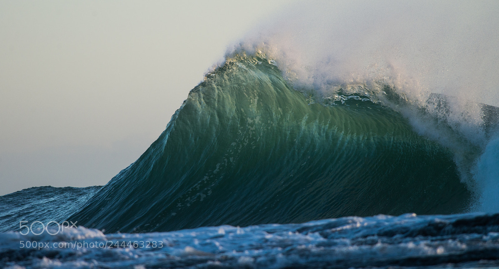 Nikon D600 sample photo. Iluka bluff morning back photography