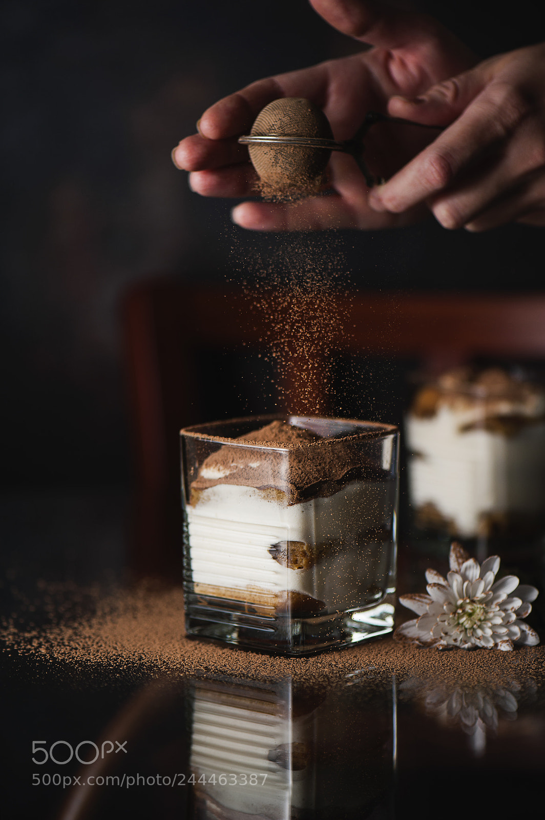 Nikon D700 sample photo. Tiramisu photography