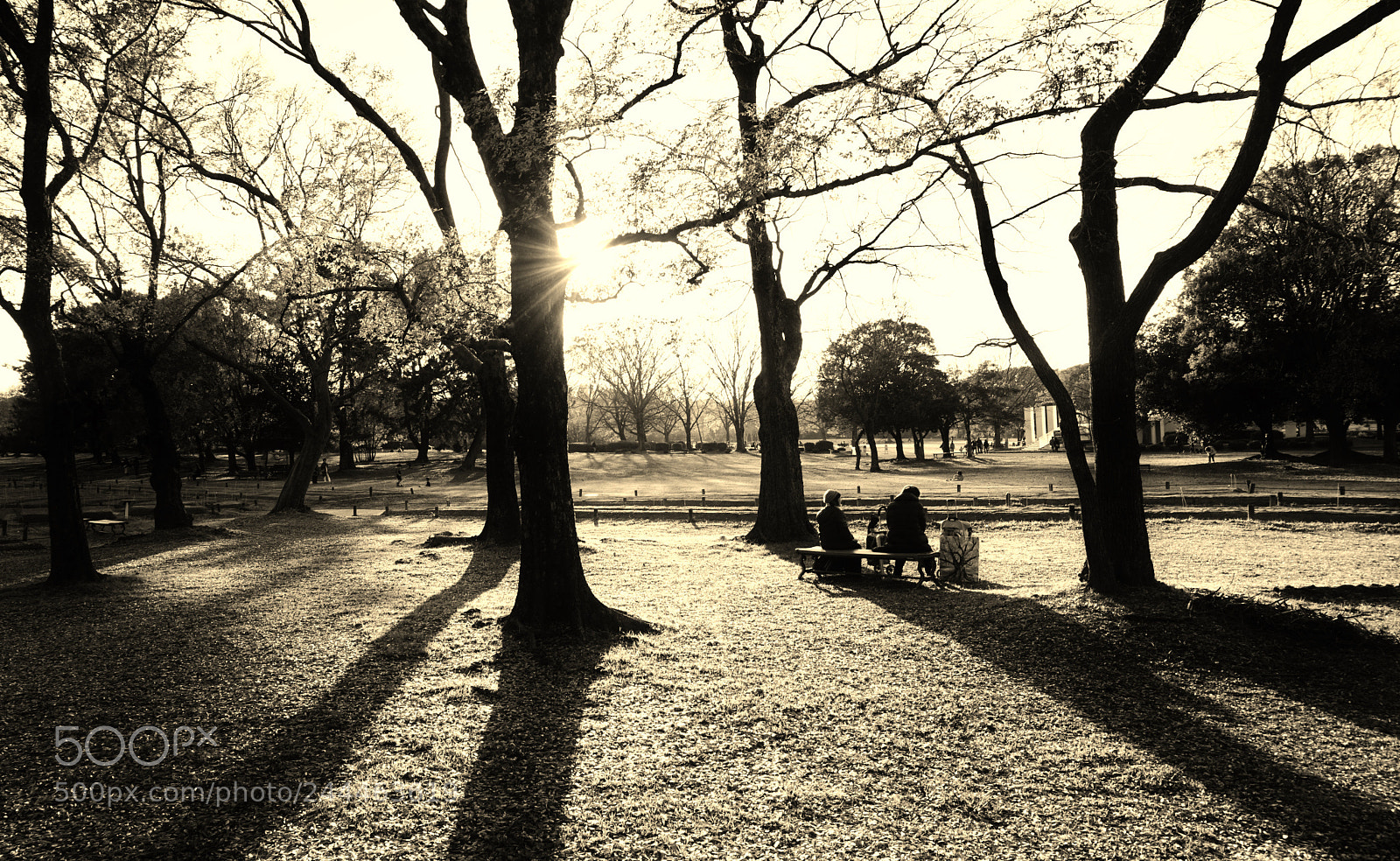 Sony a5100 sample photo. () photography