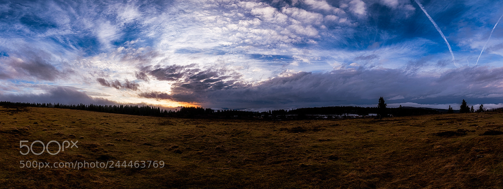 Nikon D5500 sample photo. Coucher de soleil champ photography