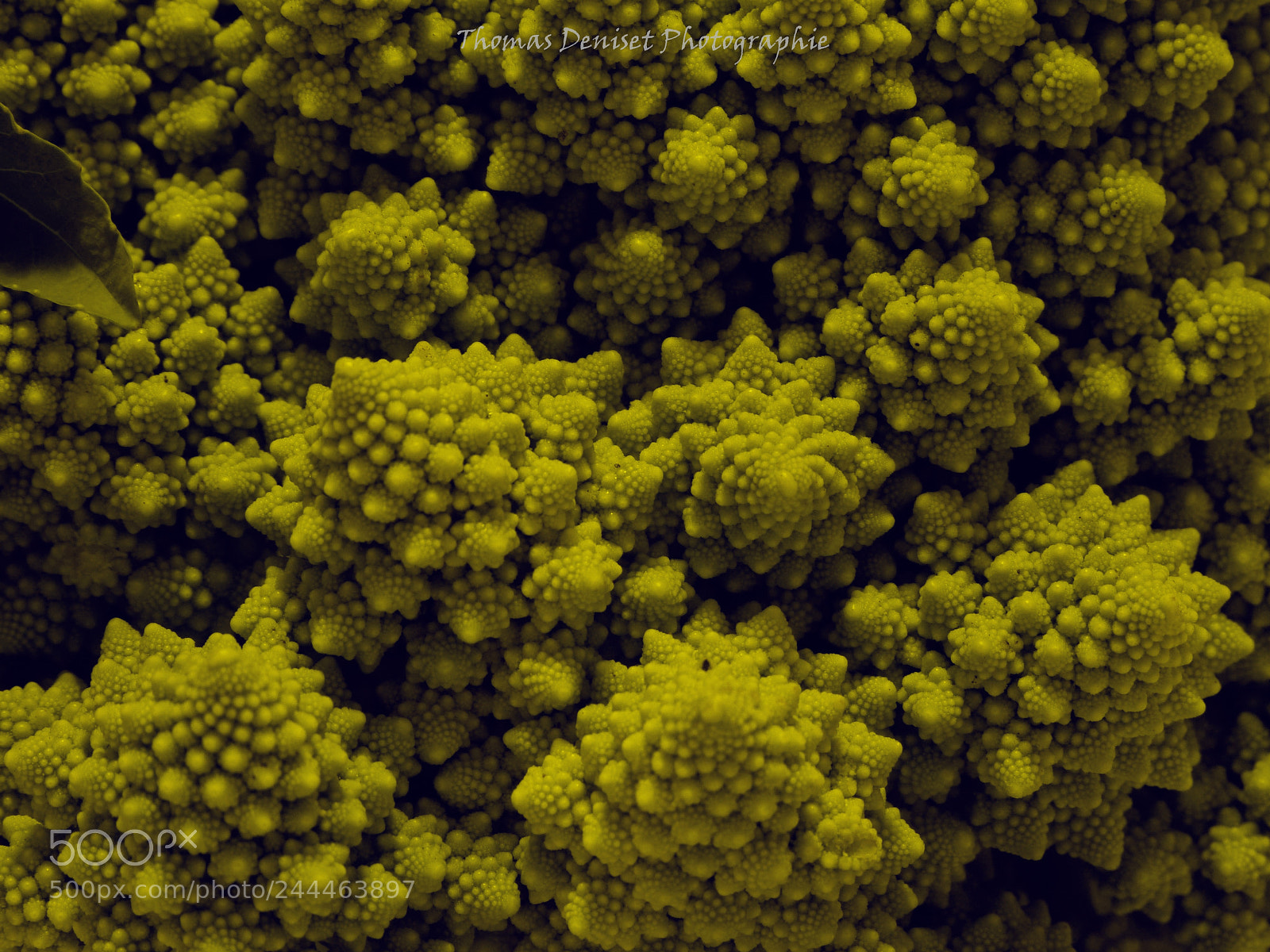Panasonic Lumix DMC-FZ150 sample photo. Psychedelic vegetable photography