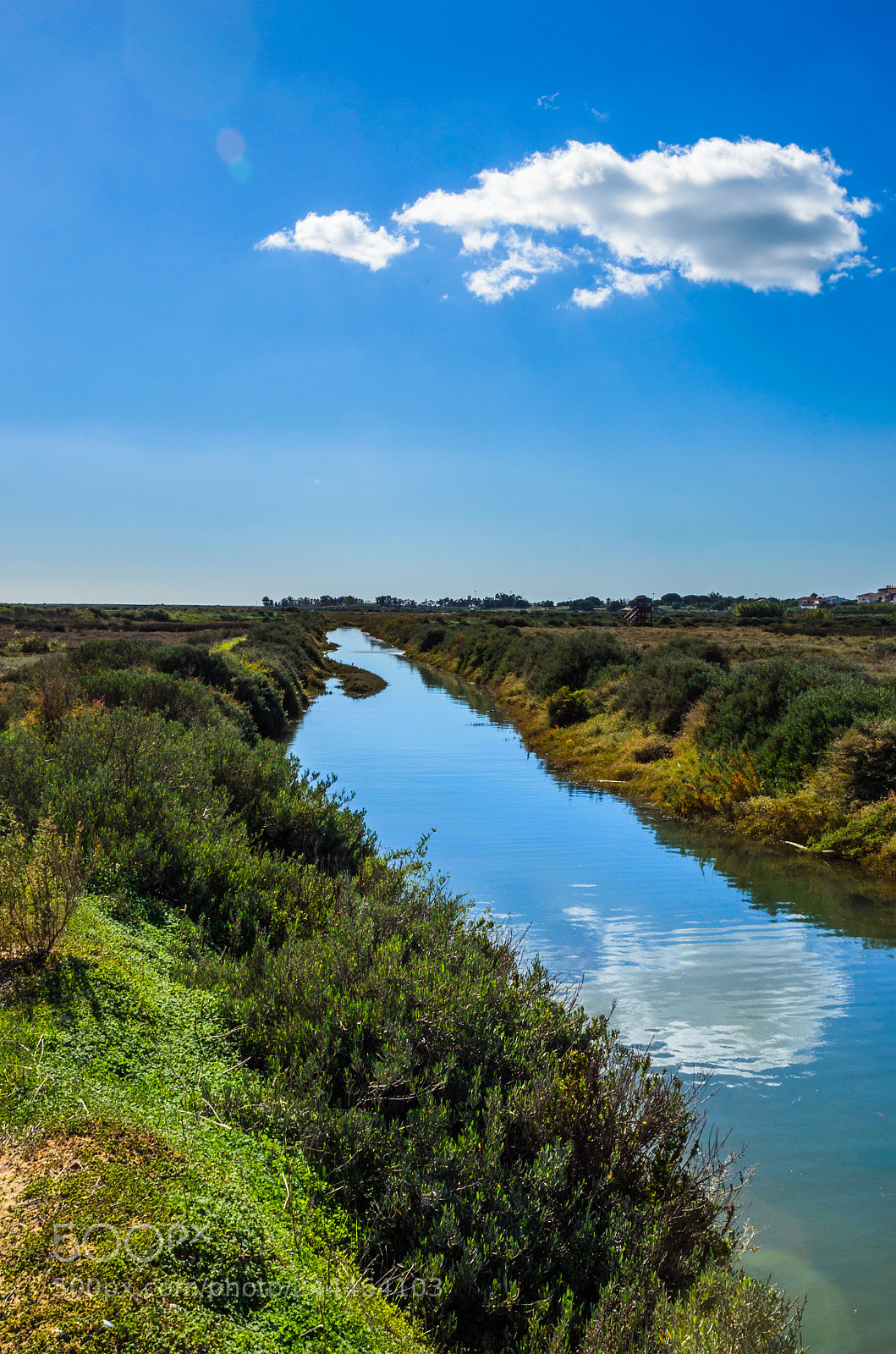 Nikon D5100 sample photo. Ria formosa park photography
