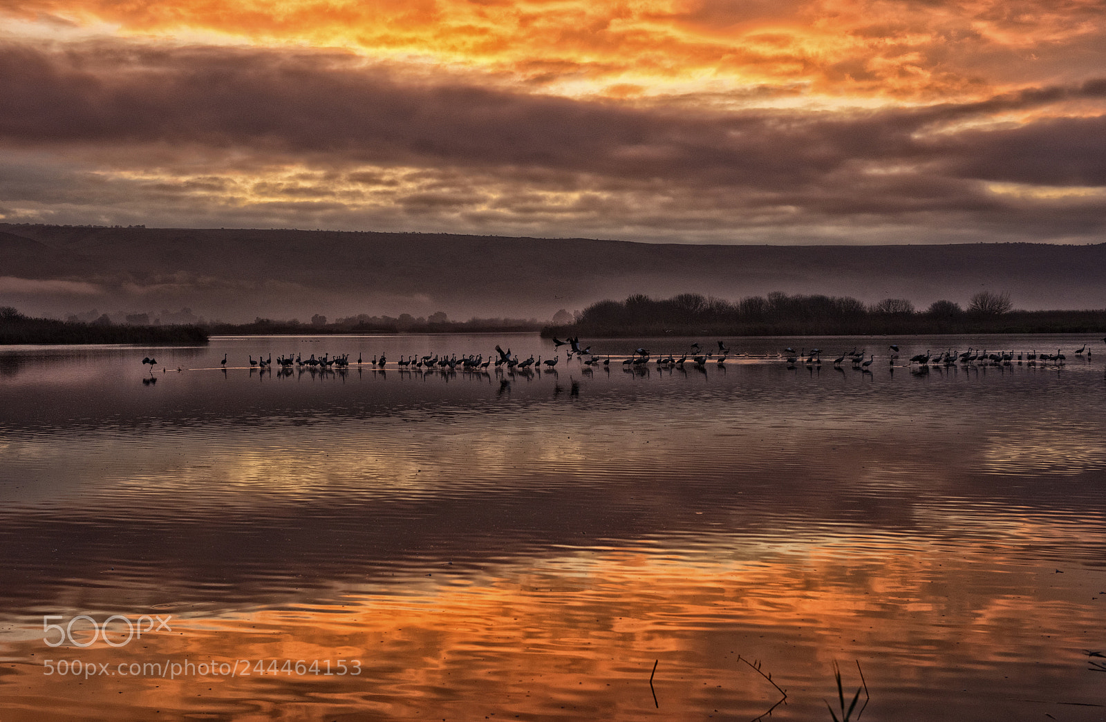 Nikon D810 sample photo. Morning glow photography