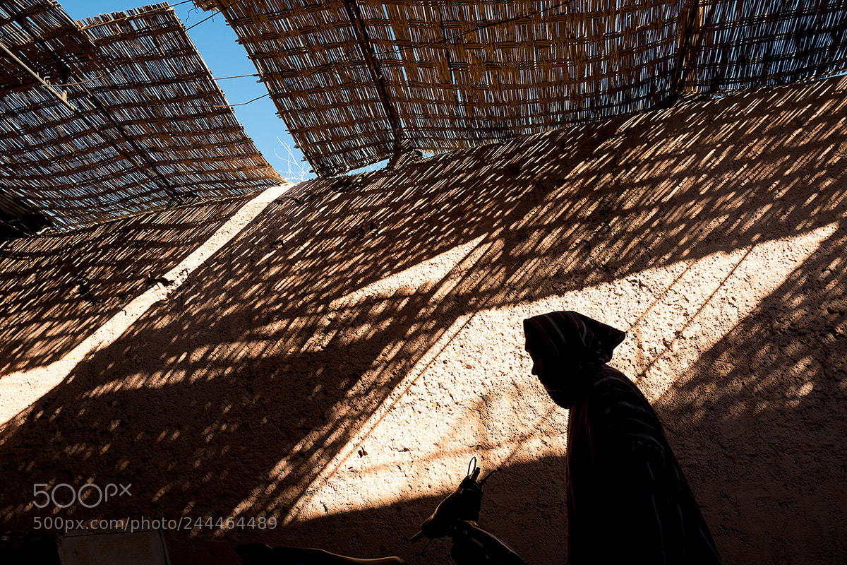 Leica Q (Typ 116) sample photo. Silhouette and shadows ii photography