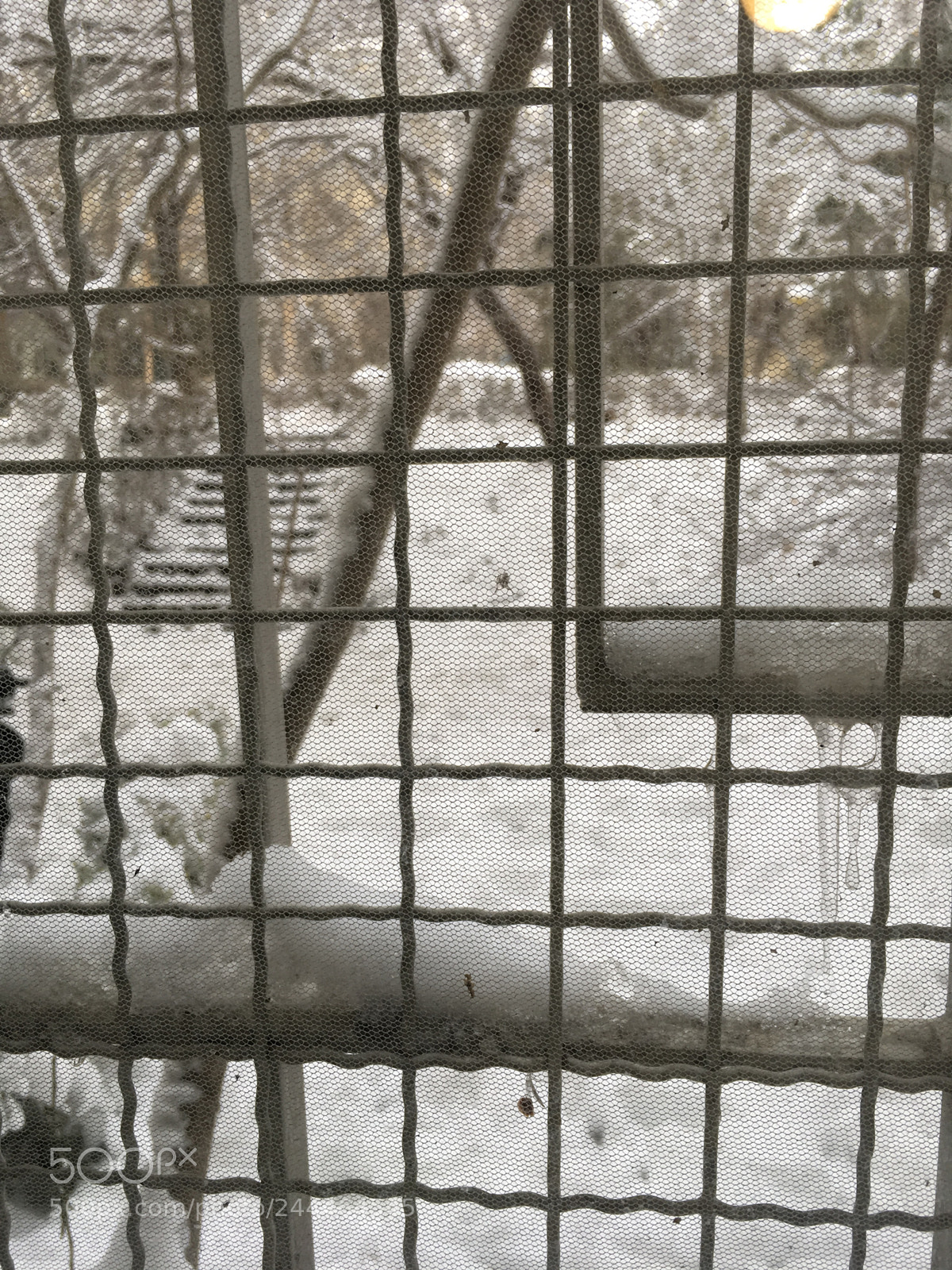Apple iPad Pro sample photo. Snow in jail photography