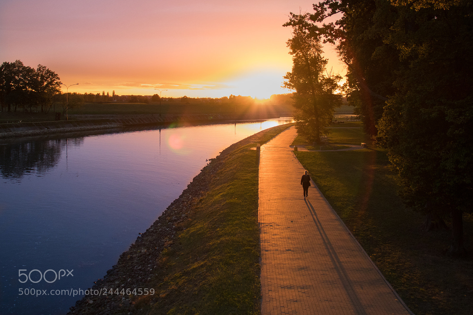 Canon EOS 77D (EOS 9000D / EOS 770D) sample photo. Sunset near odra river photography