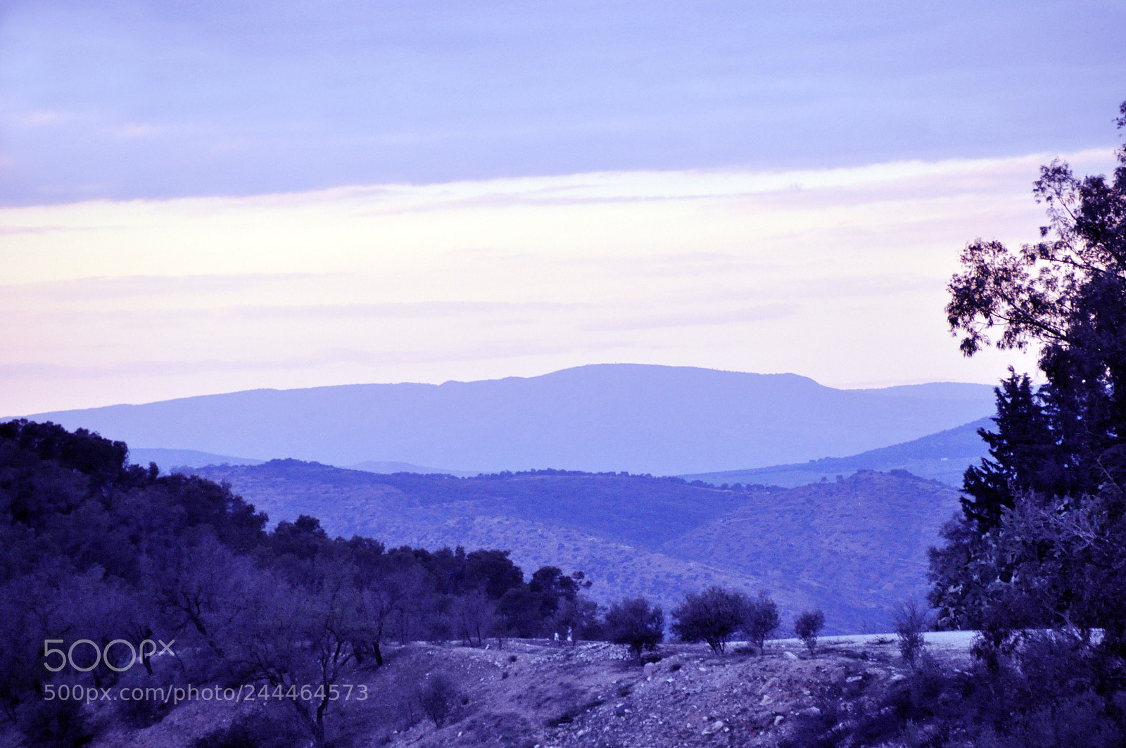 Nikon D5000 sample photo. Love the nature photography