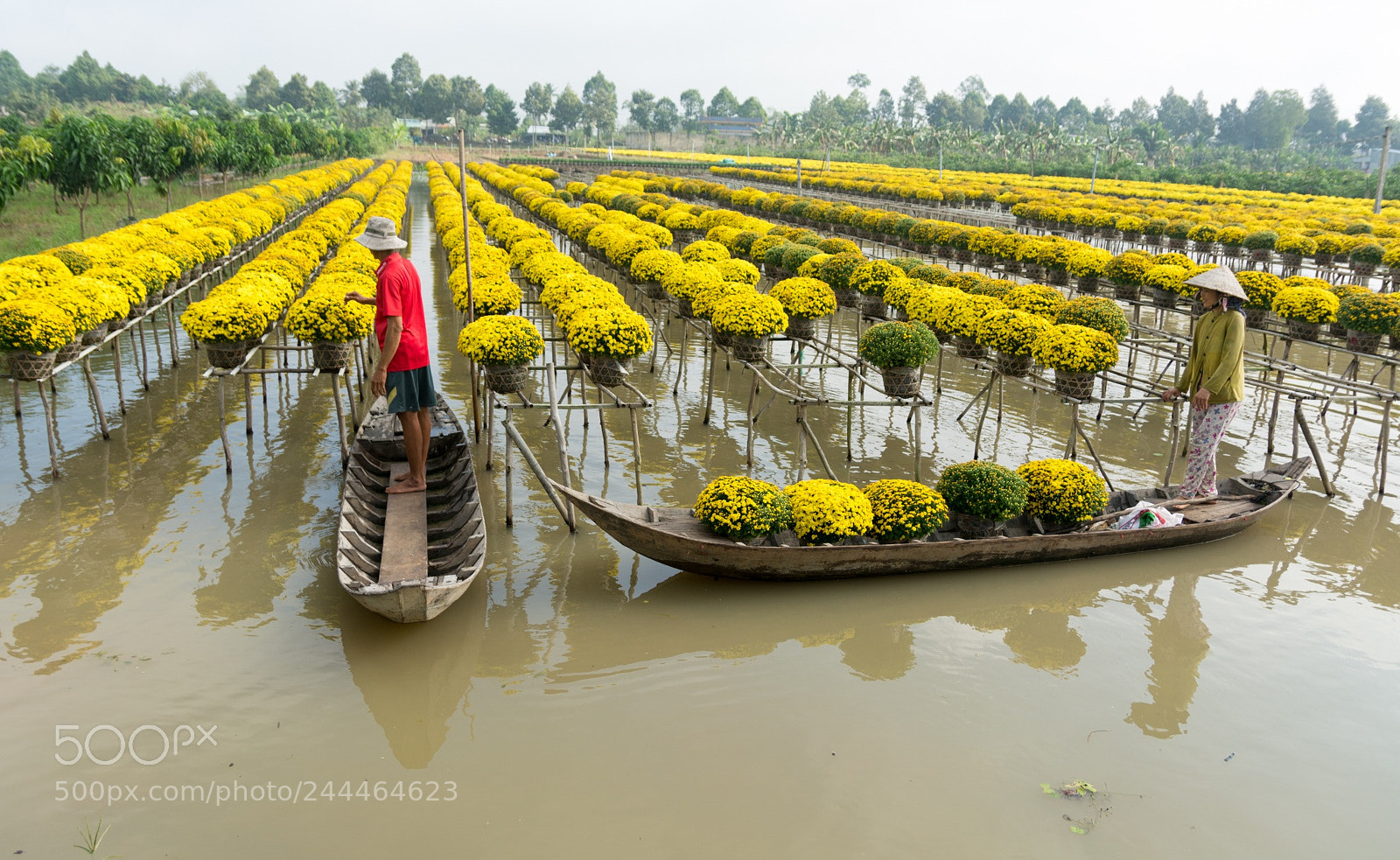 Nikon D7100 sample photo. Sa dec flower village photography