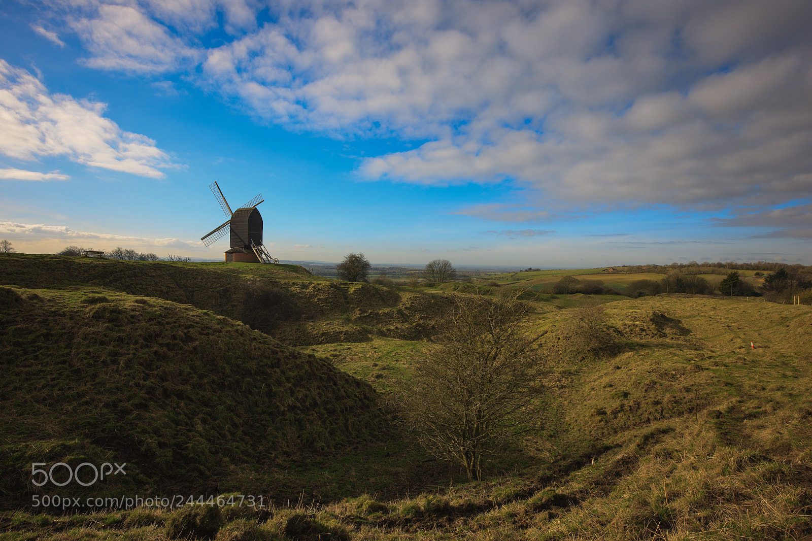 Canon EOS-1Ds Mark III sample photo. Brill hill photography