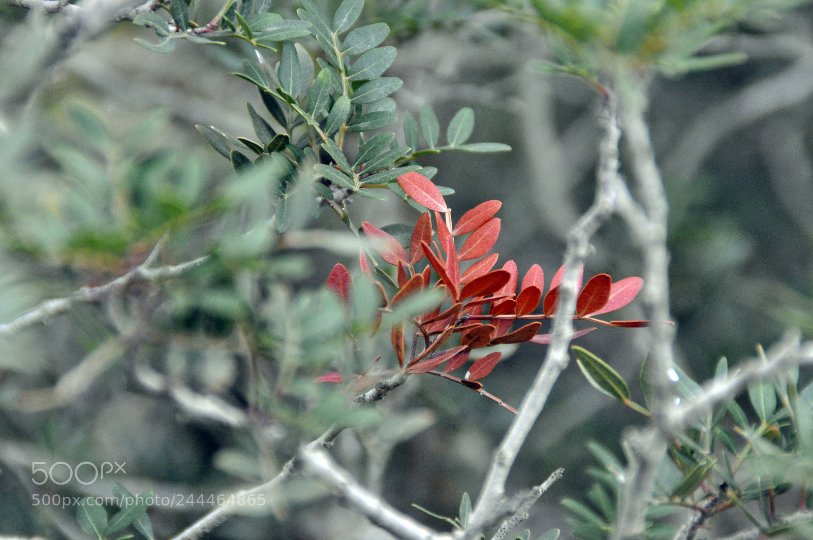 Nikon D5000 sample photo. Love the nature photography