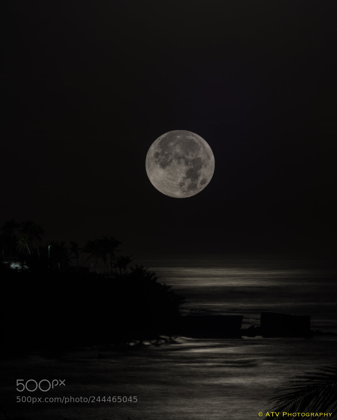 Nikon D7100 sample photo. Super blue moon from photography