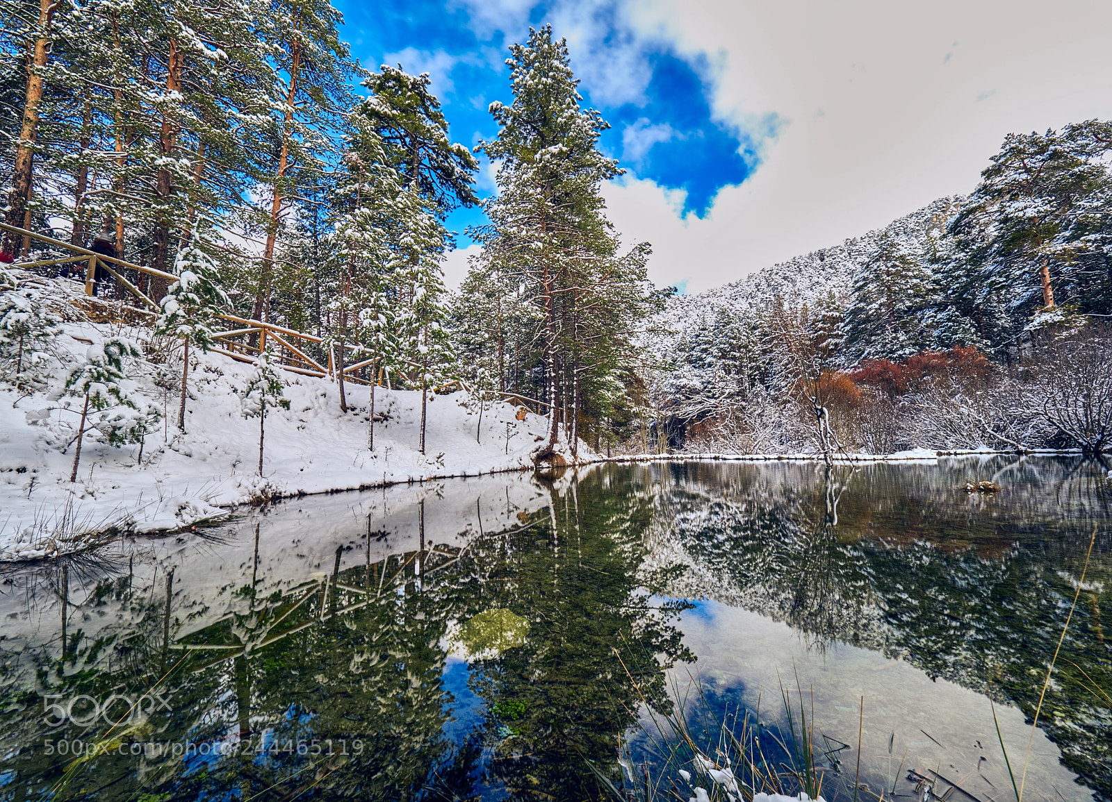 Olympus OM-D E-M1 Mark II sample photo. Winter reflections photography