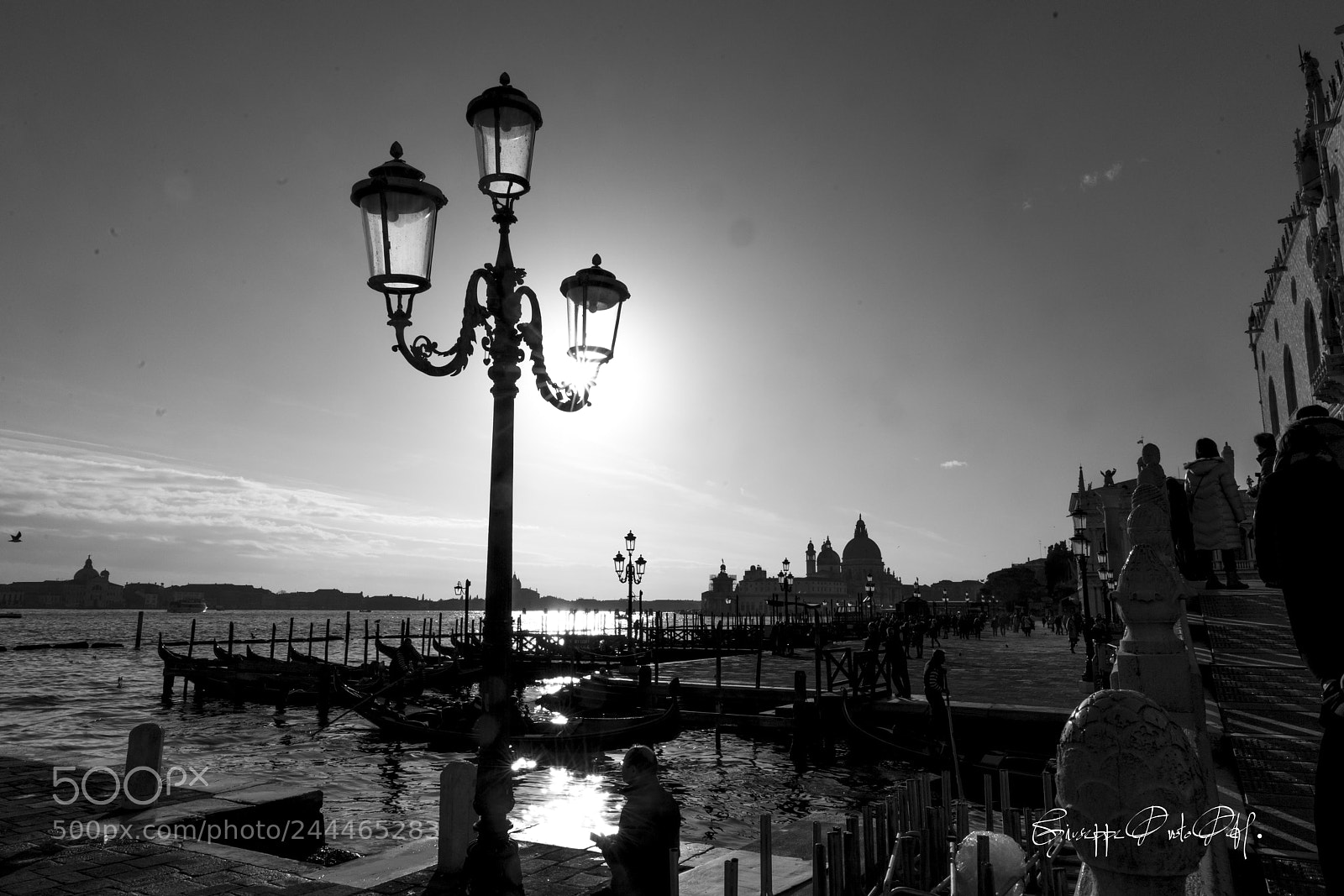 Sony a7R II sample photo. Venice b w photography