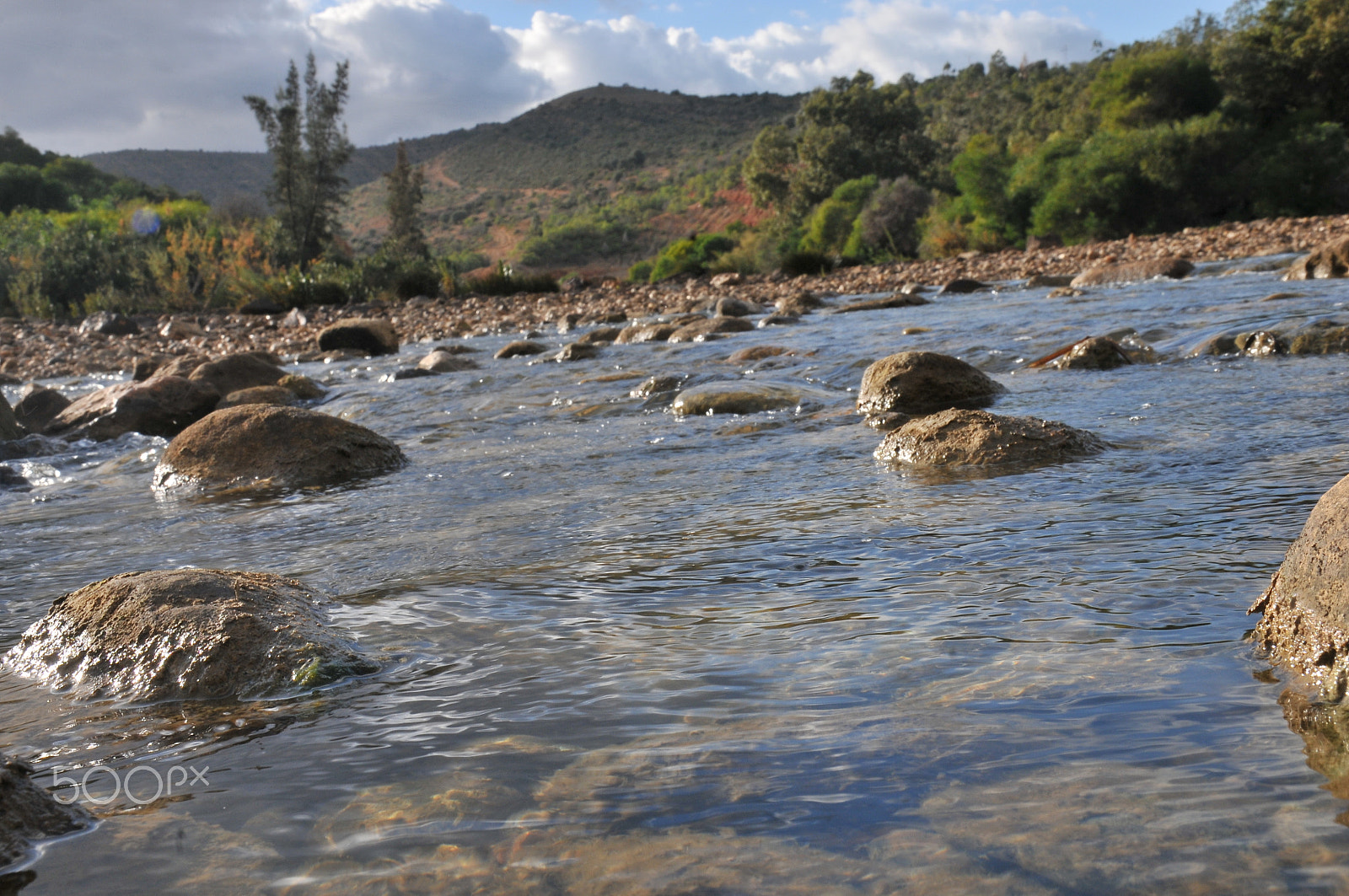 Nikon D300S sample photo. Love the nature photography