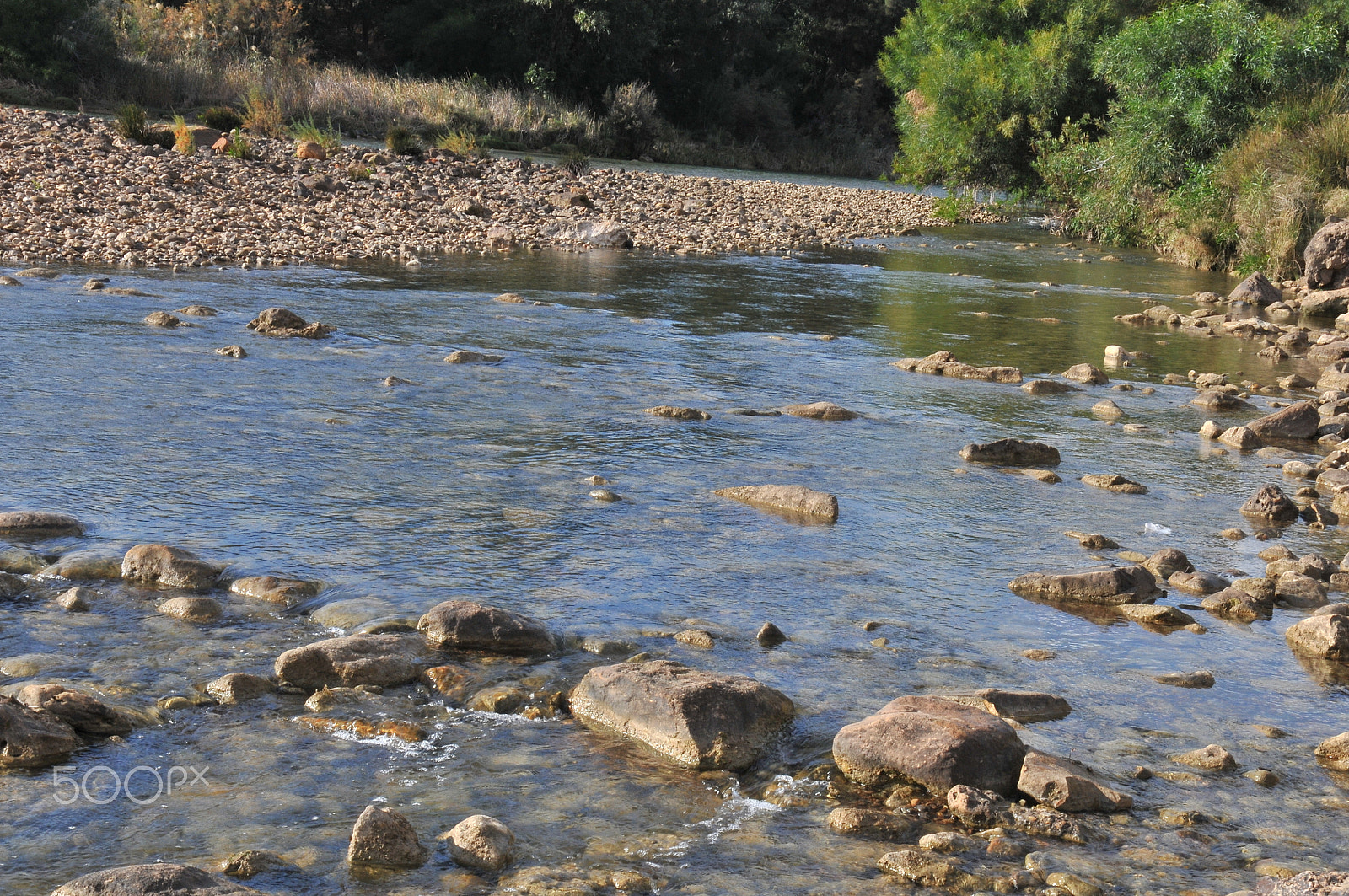 Nikon D300S sample photo. Love the nature photography