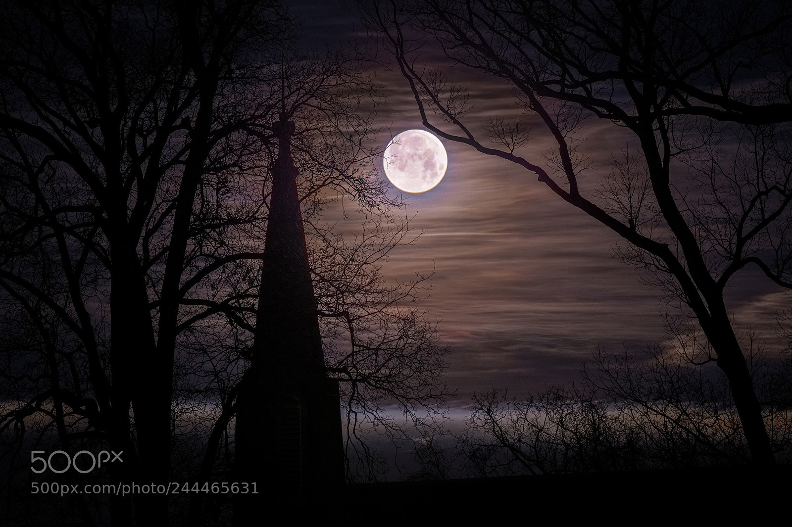 Nikon D4 sample photo. Super blue blood moon photography